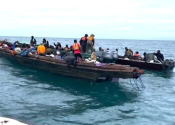 Opération Black Mamba : une saisie record de cannabis et un signal fort contre les trafics au Gabon