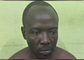 Quand les mots dépassent la raison : un ressortissant camerounais dans la tourmente pour outrage au Chef de l’État