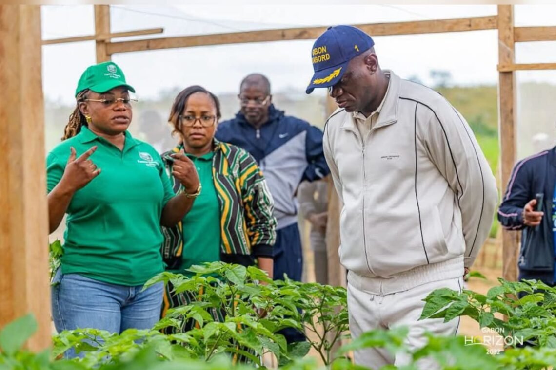 Nyanga : Oligui Nguema met en lumière le potentiel agricole local à travers la ferme Manfila