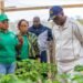 Nyanga : Oligui Nguema met en lumière le potentiel agricole local à travers la ferme Manfila
