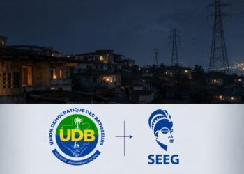 Eau et électricité : l’UDB exige des résultats concrets de la SEEG après d’importants investissements publics