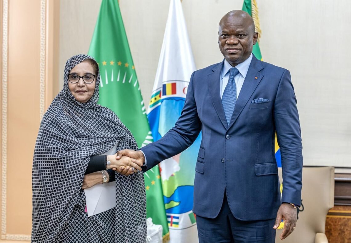 Diplomatie : le Gabon et la Mauritanie consolident leur partenariat stratégique