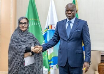 Diplomatie : le Gabon et la Mauritanie consolident leur partenariat stratégique